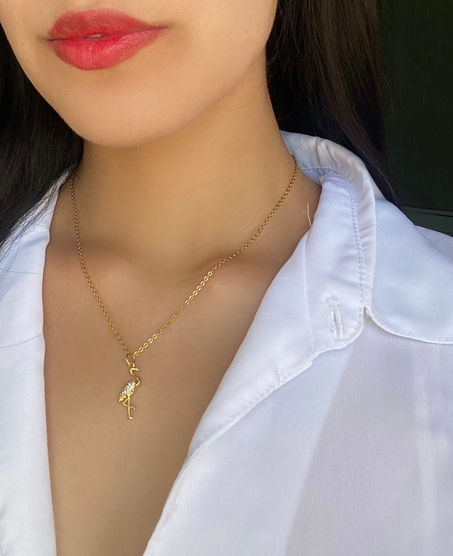Collar Flamingo