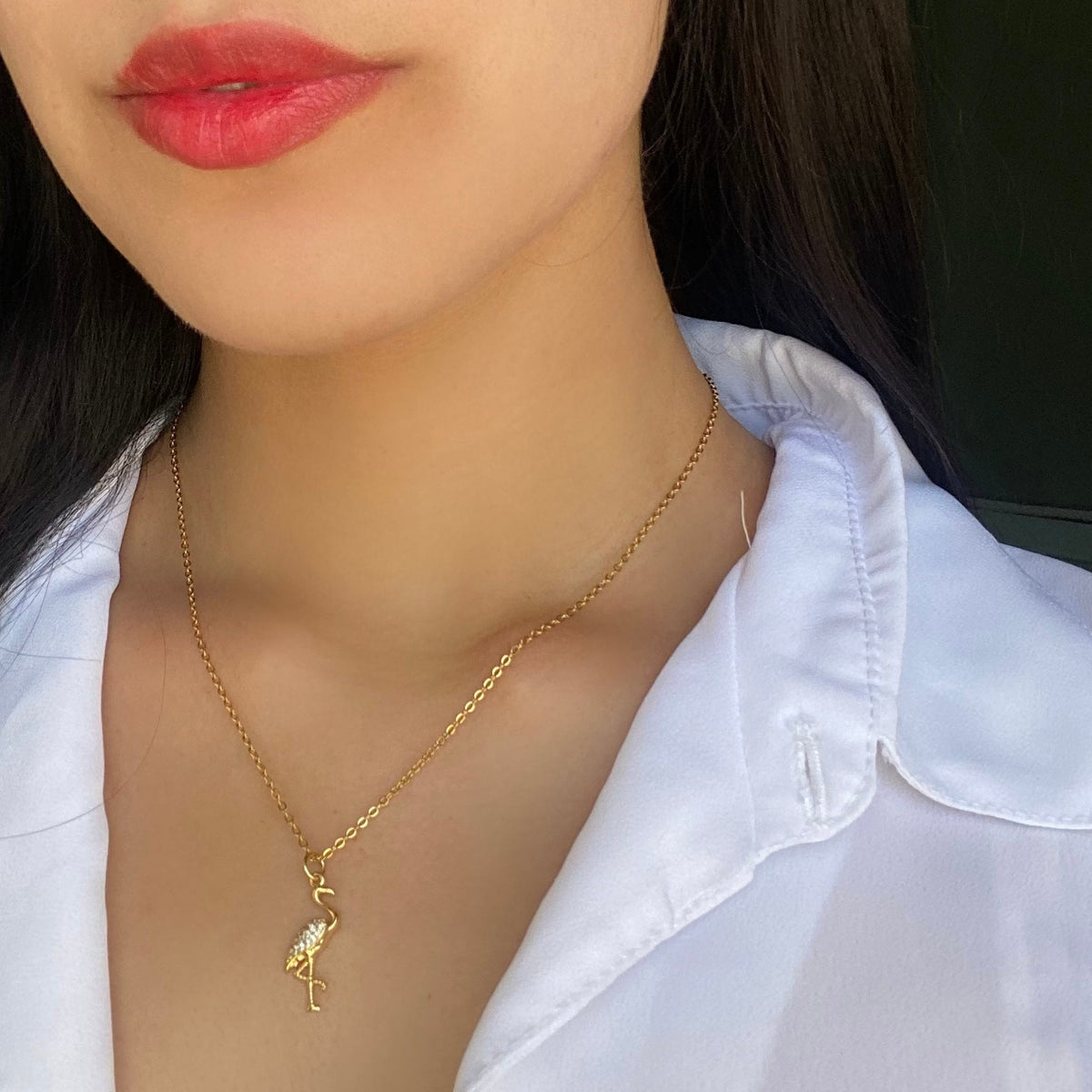 Collar Flamingo