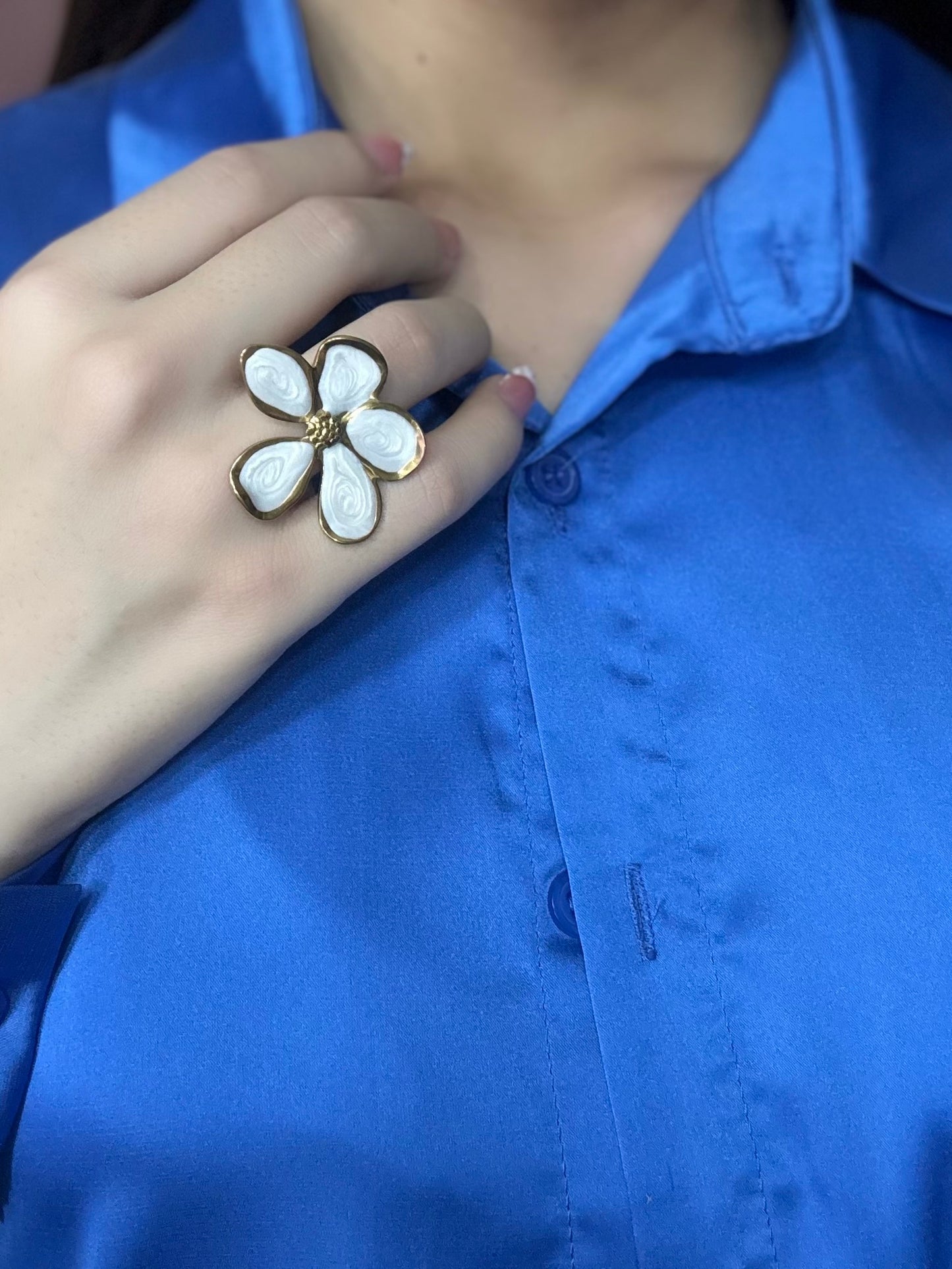 Anillo Dinastía