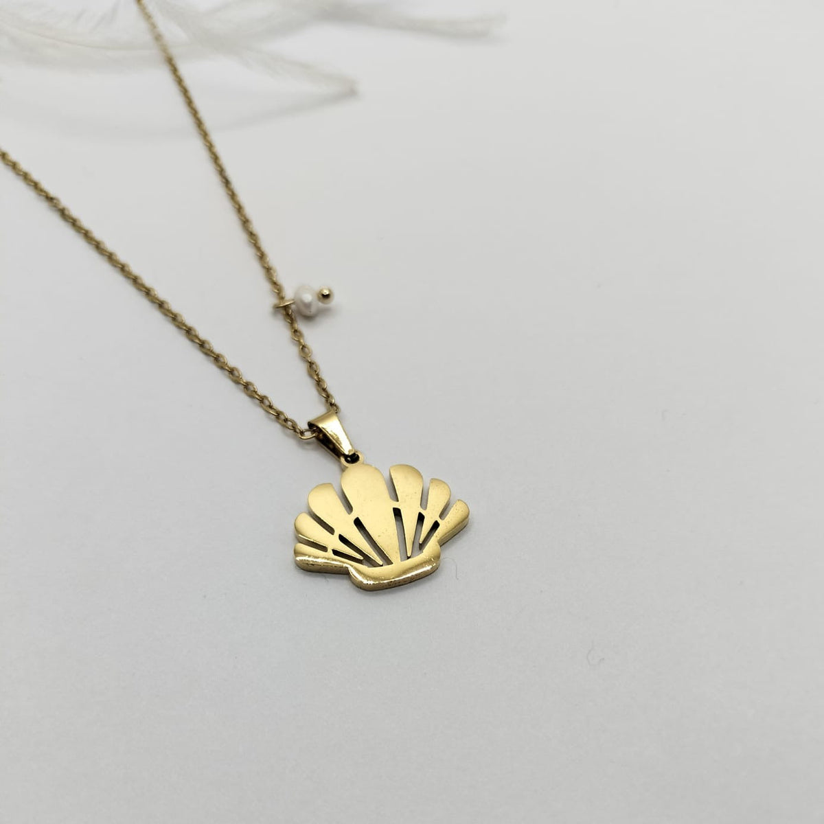 Collar Salt Air