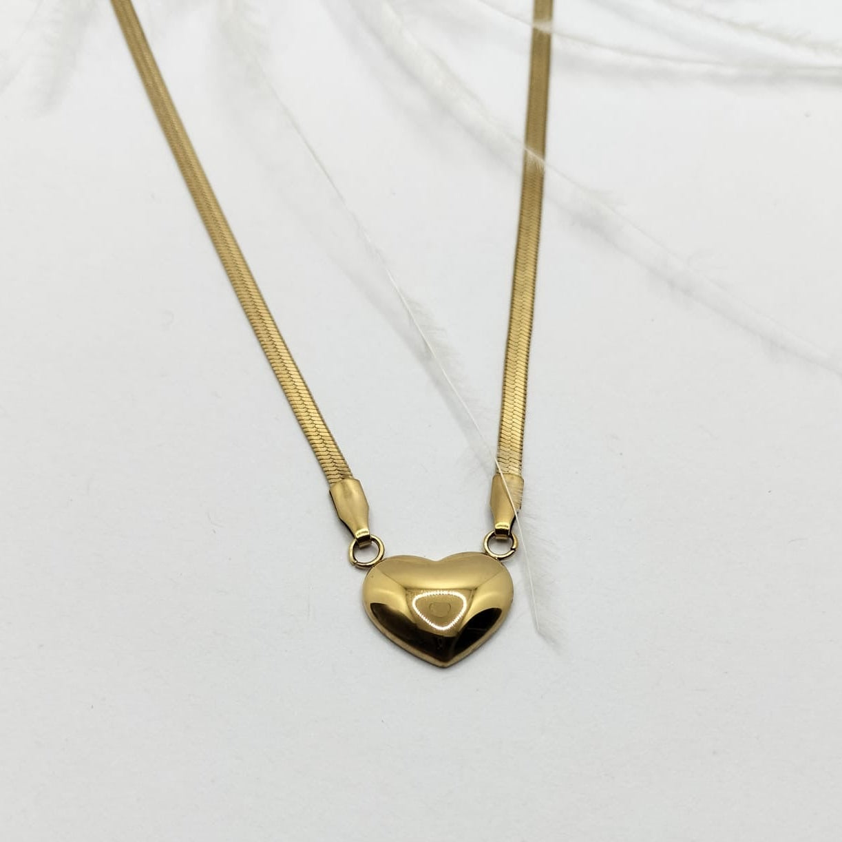 Collar Alaska
