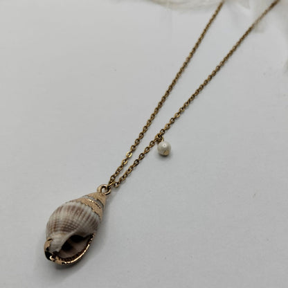 Collar Shell