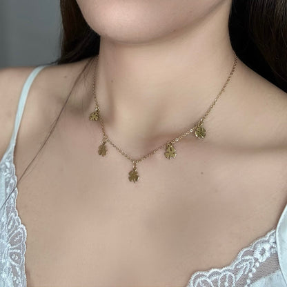 Collar Zenith
