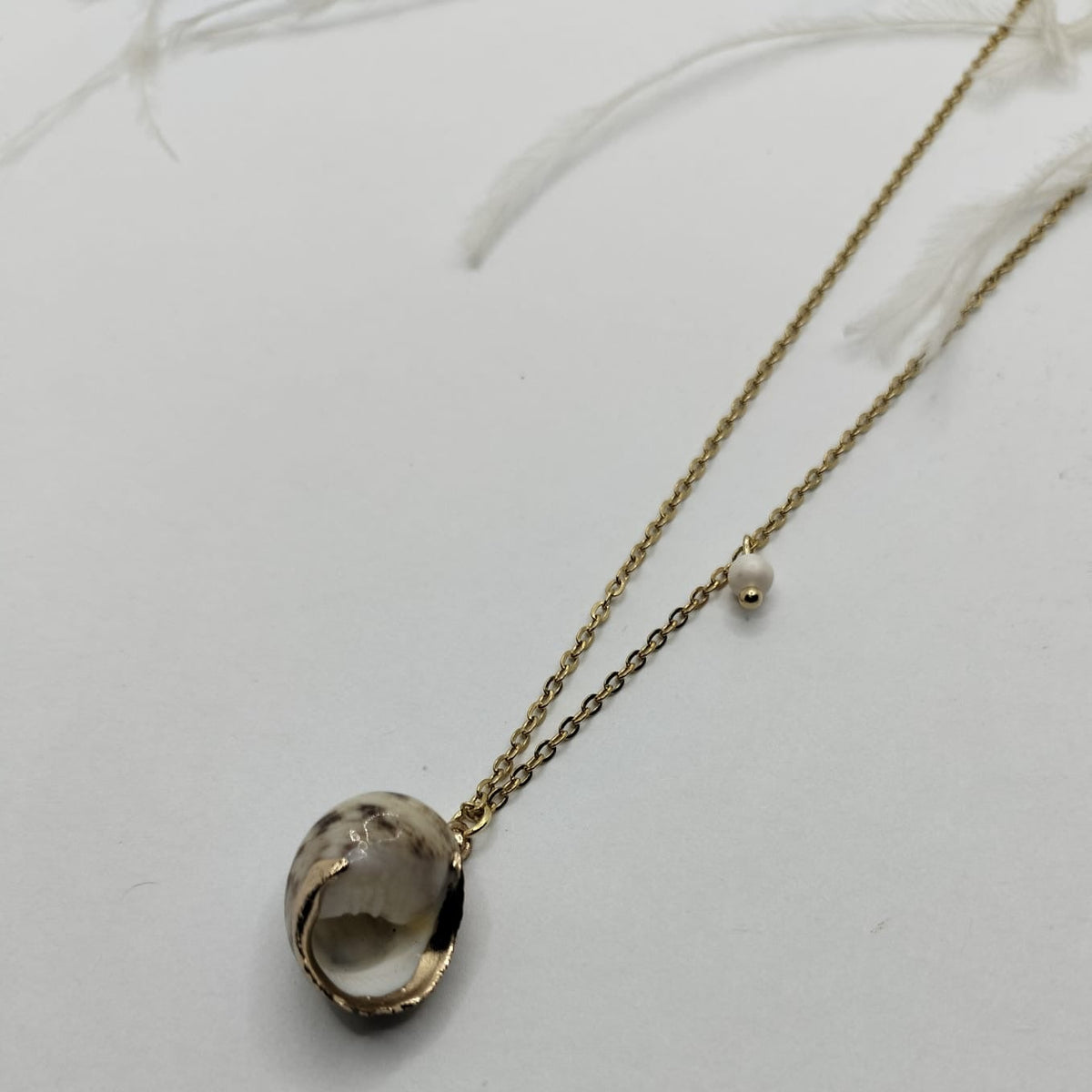 Collar Shell