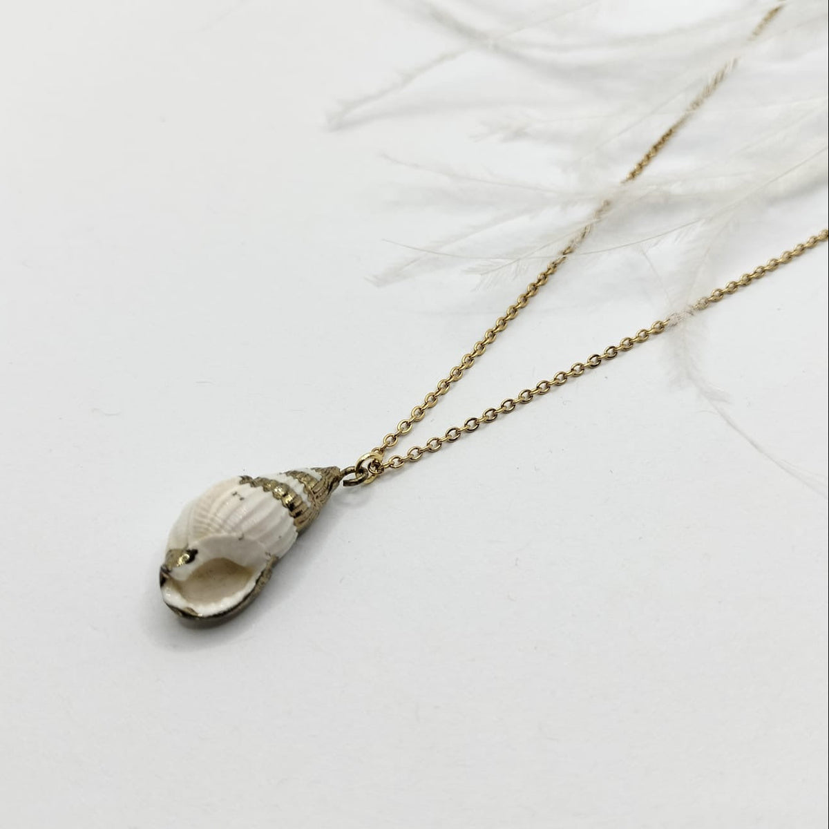 Collar Shell