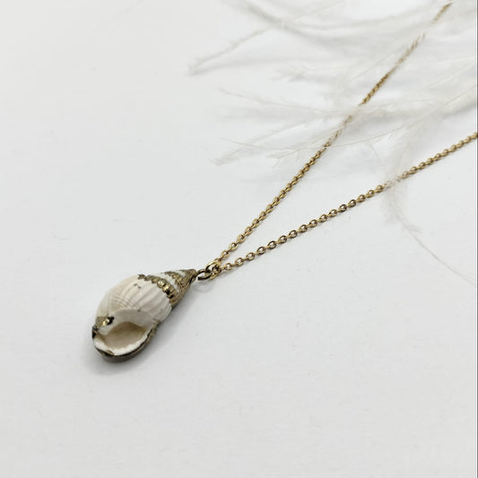 Collar Shell