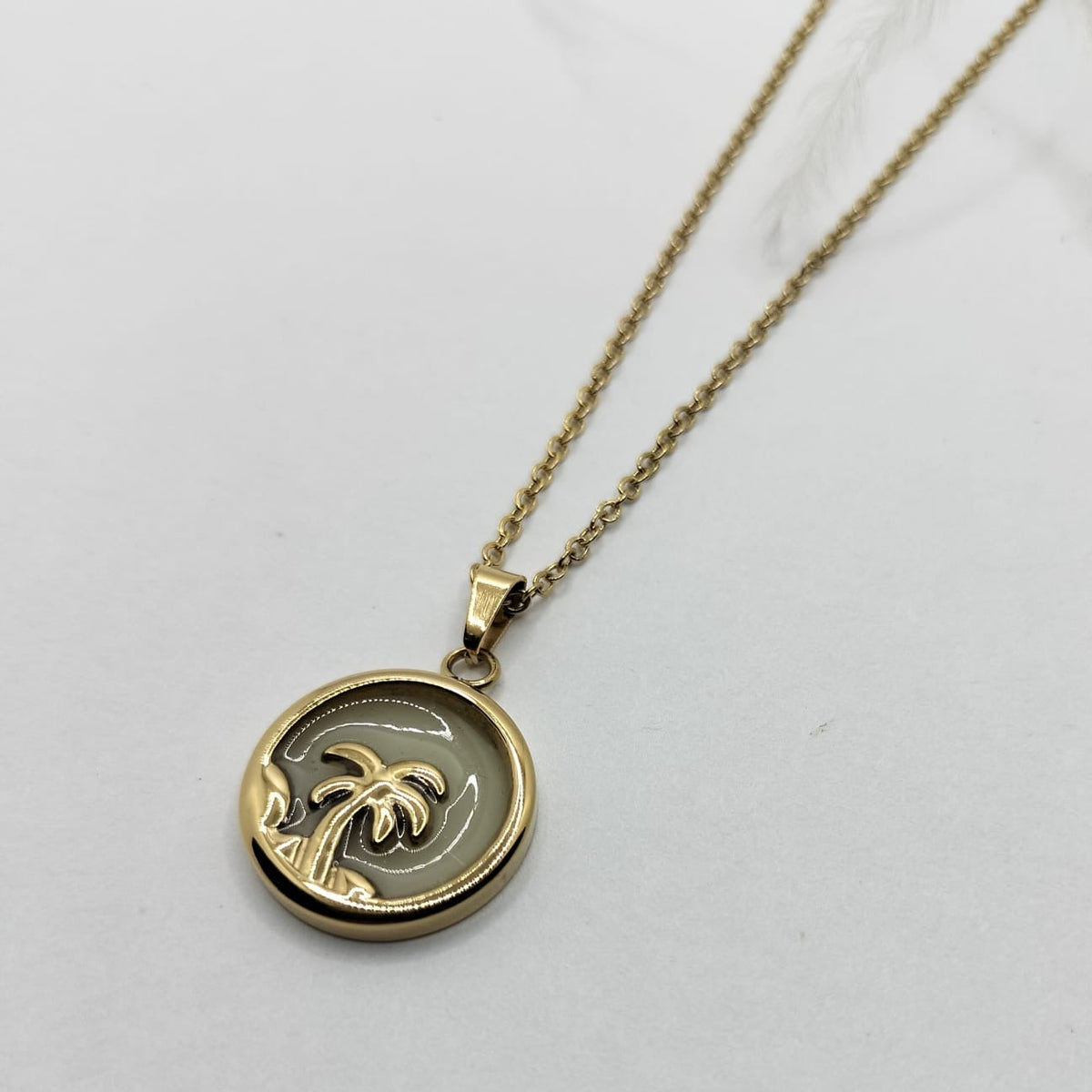 Collar Salt Air
