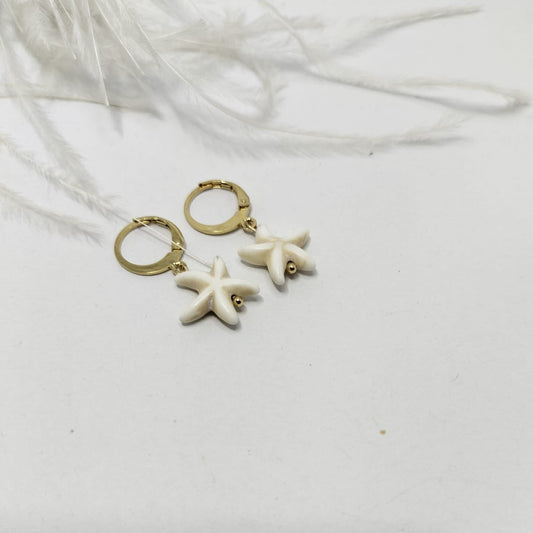 Aretes Salina