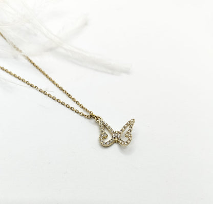 Collar Fly