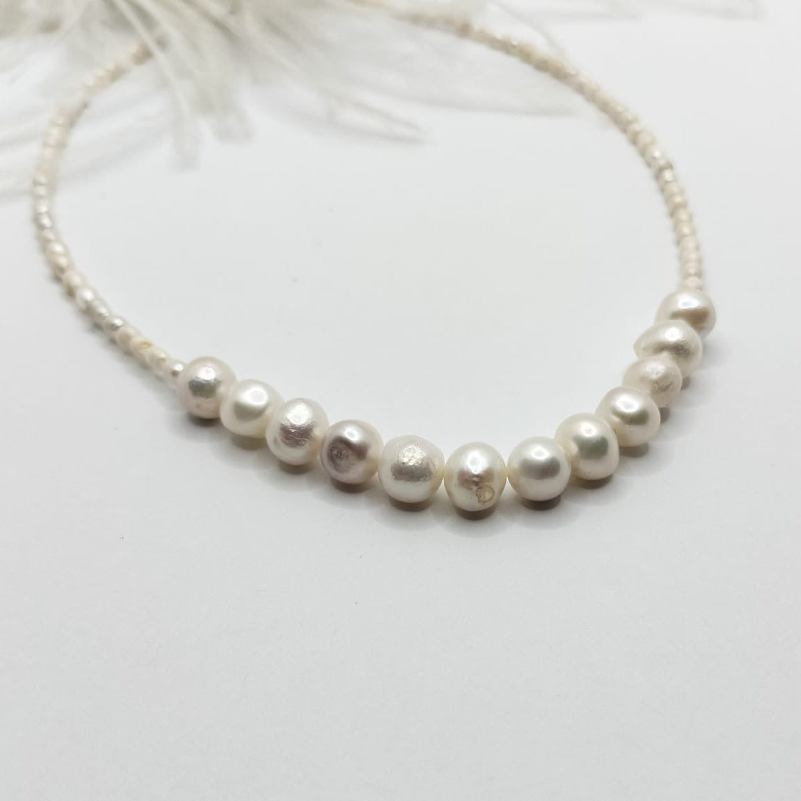Collar Royale