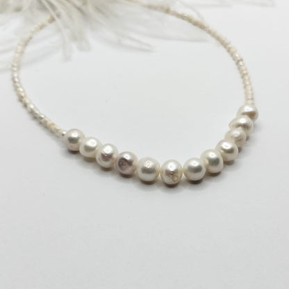 Collar Royale