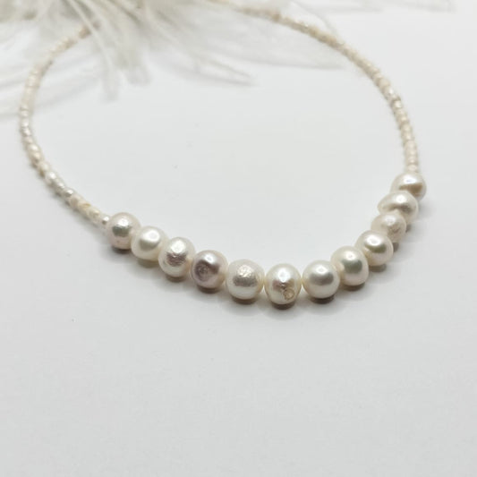 Collar Royale
