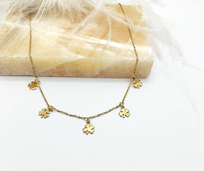 Collar Zenith